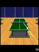 3D Slam Ping Pong